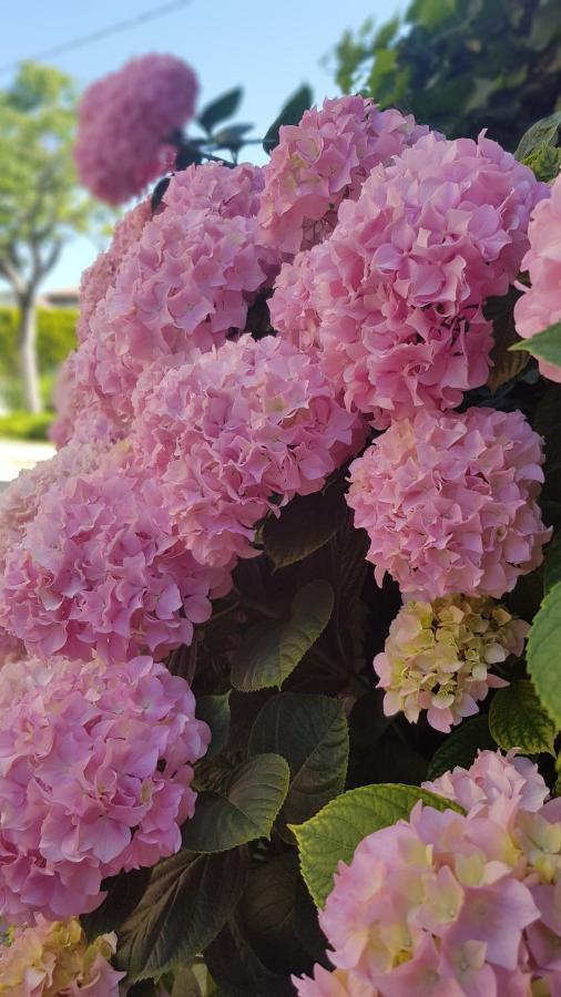 Appartamento Modenese 8 เปสเคียรา เดล การ์ดา ภายนอก รูปภาพ